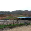 흑석산흑염소농장 이미지