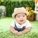 아이라임스튜디오 이미지