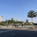 [대만] 가오슝 쇼핑리스트 스타벅스 자몽/카라멜시럽 커피잔 구매