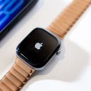 내츄럴스페이스 2 | 애플워치 11 10 세대 차이 스페이스 그레이 마그네틱 링크 밴드 후기