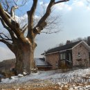 사정1리 경로당 이미지