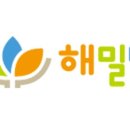 더 해밀 이미지