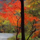 태안사계곡 이미지