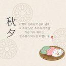 서귀포우리공인중개사사무소 네이버블로그