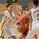 정아름 카카오 검색결과