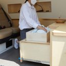 포레스트 펫 이미지