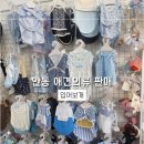 입어보개