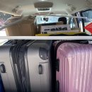 토론토 동물병원 | 토론토 정착서비스, 왜 나무에듀가 답일까? 성공적인 캐나다 유학의 첫걸음