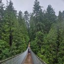 팍 플레이스(PARK PLACE) | 캐나다 밴쿠버 '캐필라노 현수교 | 캐필라노 서스펜션 브릿지' (2025년 7월)