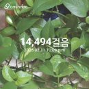 스킨답서스 만보,62일차 이미지