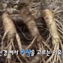 남사직로 이미지