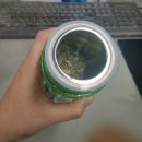 바르미식품- 천기누설 모링가잎 차 후기