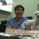 공범농장 이미지