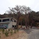 38펜션하우스 이미지