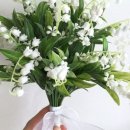 단장소원 이미지