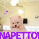 파주켄넬 이미지