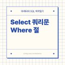 [SSS급 인재] 엑셀보다 쉽게 시작하는 성과 치트키, SQL 이미지