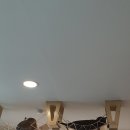 고양이카페 이미지