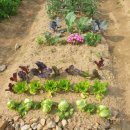 달리는쥬스 이미지