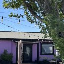 레프트핸더 스테이 이미지