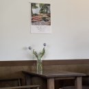 카페 온당 이미지