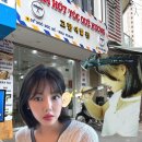 상품이발관 | 냐짱(Nha Trang)여행기록_9. 나트랑 '고향이발관' 귀청소 후기 - 이색 마사지, 가격, 애견동반, 짐보관