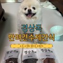 경상독 | 🐶 반려견수제간식 추천! 경상독 애견간식으로 보리의 입맛 저격