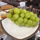 백구파출소 이미지