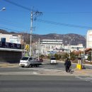 웅상대로 이미지