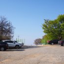 자인계정숲(씨름장) 이미지