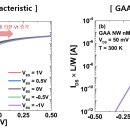 BODY EFFECT 이미지