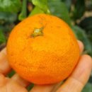 일신농장 이미지