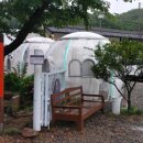 들꽃밥상 이미지