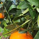 승환농장 이미지