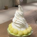 [서울/청담동] 멜론 빙수 맛집 추천, 멜트 청담(아이엠씨)
