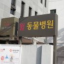 윌동물외상센터 이미지