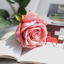 조화 이미지