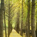 송정제방 이미지