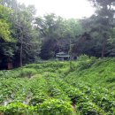 범룡골 약수터 이미지