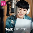 비트위너