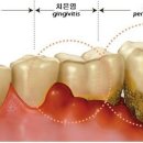 그린필치과의원 이미지