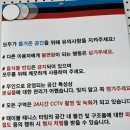 테이블테니스타임