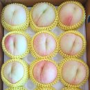 늦둥이농원