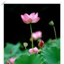 좋은생각 이미지