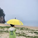 은빛모래야영장 | 서해안 캠핑카 가능 바다뷰 캠핑장 원산도 추천