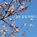 꽃길 이미지