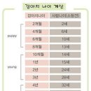 나이
