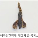 방랑시인 김삿갓 (111) 노랑유부(老郞幼婦 : 늙은 신랑과 젊은 부인) 화합법 이미지