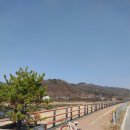공릉천자전거도로변 | 공릉천 매내미길 라이딩(26.3.25)