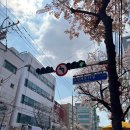 찬필하모니음악교습소